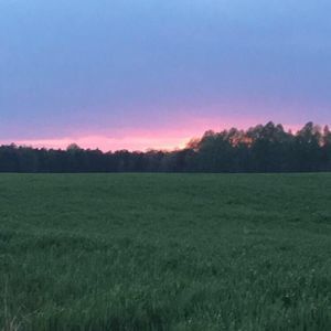 Meet your Posher, Bryson